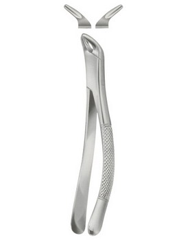 Tooth Extracting Forceps  